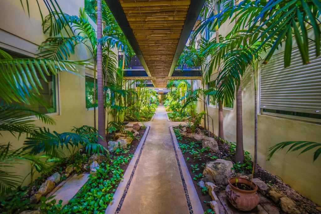 Meridian Downtown Apartments Playa del Carmen Dış mekan fotoğraf