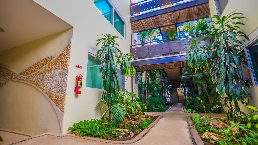 Meridian Downtown Apartments Playa del Carmen Dış mekan fotoğraf